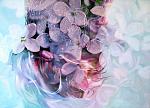     
: pakayla-biehn-double-exposure-painting-3.jpg
: 7
:	217.4 
ID:	6689716