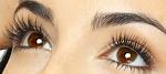     
: eyelashes1.jpg
: 6
:	23.3 
ID:	12145869