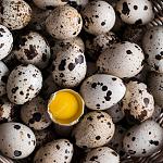     
: one-cracked-quail-egg_23-2148601030.jpg
: 5
:	180.9 
ID:	13506805