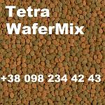     
: Tetra WaferMix+.jpg
: 12
:	148.0 
ID:	13477930