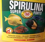     
: spirulina.jpg
: 34
:	111.5 
ID:	12759661