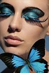     
: blue-black-butterfly-makeup.jpg
: 4
:	93.0 
ID:	4721655