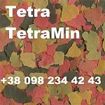     
: TetraMin Flakes+.jpg
: 33
:	111.7 
ID:	13072329