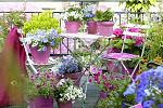     
: flowering-balcony-14.jpg
: 15
:	69.3 
ID:	6365336