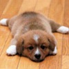   emkin