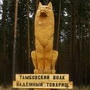   TambovWolf