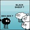   black sheep