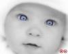   vfhn@ukr.net