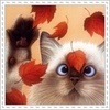   Jinna