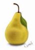 Yellow Pear