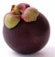 mangosteen