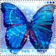   AngelinA99