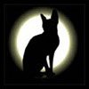   Ledy Morgana