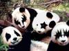   sanya_1986
