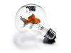   lumenlight