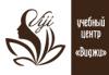   Viji
