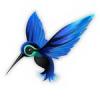   colibru