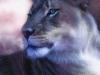   Lion-lion