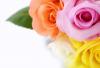   flowers-delivery
