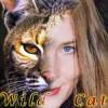   Wild Cat