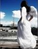   Wild-Angel