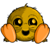  Cocosic