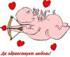   Vikkiod