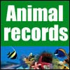   ANIMAL RECORDS