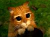   Alladin23