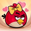   Angry bird