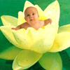   Innochk@@