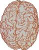  The_Brain