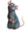   Little mouse