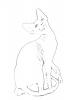   Nostalgie sphynx