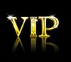   Authority.V.I.P.