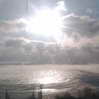   Seagle