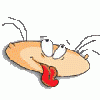   Garysh Maried