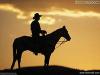   Western*