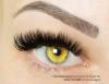   Lashmaker_Liliya