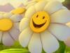   Daisylovely