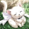   soubi