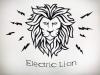 Аватар для Electro_Lion