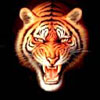   Pride_S