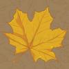   Herbst