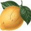   Lemon (c)