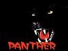 Аватар для Panther
