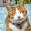   Gery