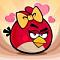 Angry bird